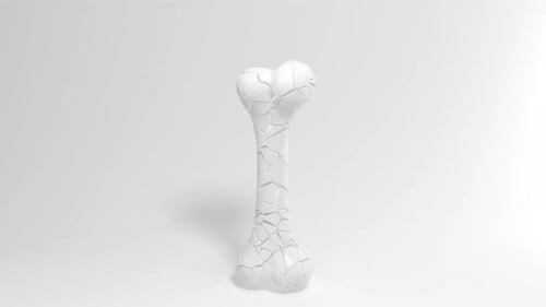 White 3D Bone Fragments Assemble Animation Clean Style
