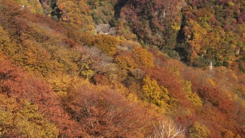 Autumn Mountain