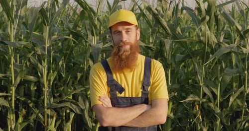 A Farmer in a Corn Field