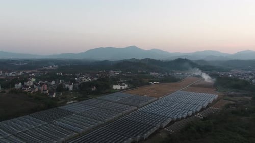 Aerial View of Greenhouses at Sunrise