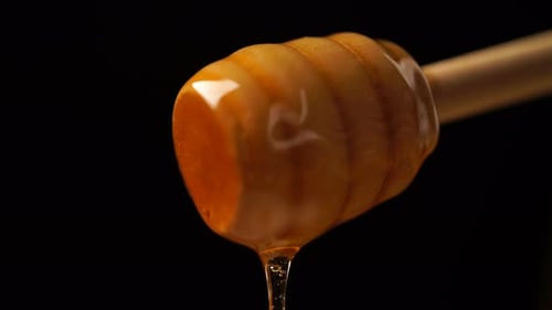 Golden Honey Dripping from a Wooden Dipper