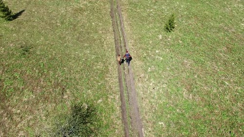 Aerial of Forest and Mountains