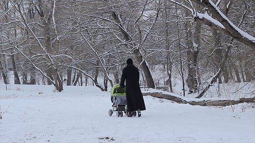 Woman with Baby Stroller on Snowy Park