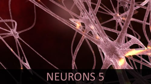 Animated Neural Network with Firing Electrical Impulses