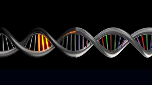 Rotating DNA Helix Animation with Glowing Code Segments
