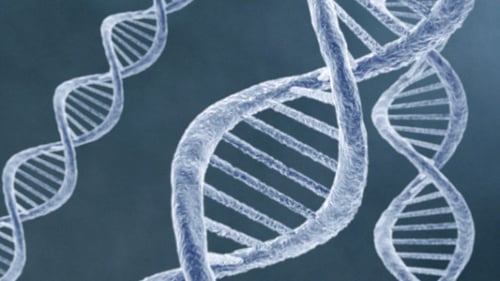 Animated Double Helix DNA Strands