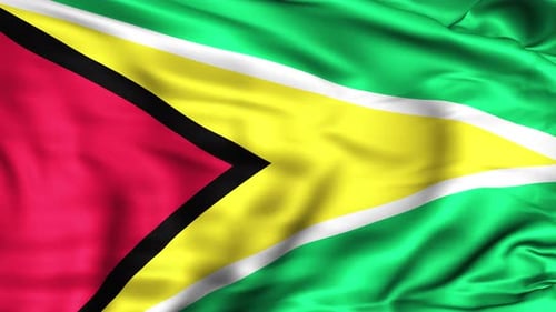 Realistic Waving Flag of Guyana Animation