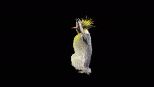 Penguin Dancing 4K