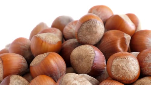 Pile of Shelled Hazelnuts Rotating Close-Up