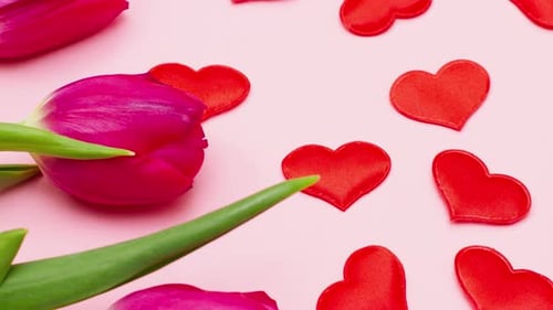 Bouquet of Red Fresh Juicy Tulips with Green Leaves Lie on Pastel Pink Background with Toy Hearts