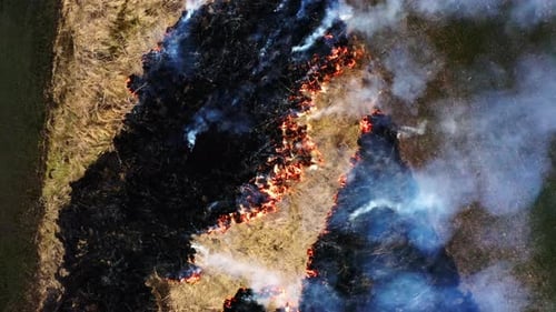 Aerial top view of smoking wild fire. Forest and field in the fire. Amazon and Siberian wildfires.