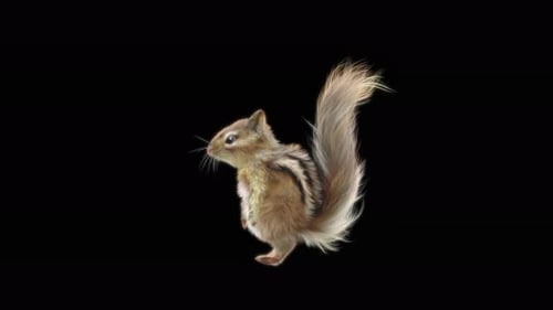Realistic Animated Chipmunk with Artistic Hand-Drawn Style