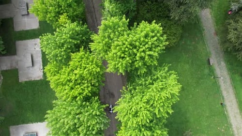 Aerial Green Wooded Park