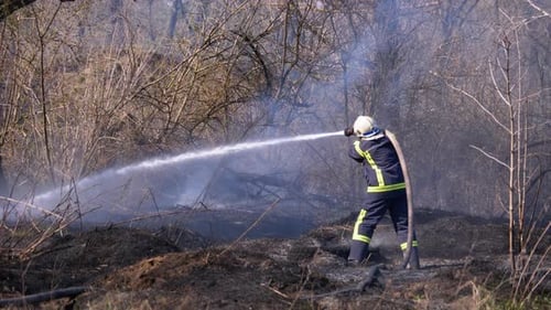 Firefighter in Equipment Extinguish Forest Fire with Fire Hose. Wood, Spring Day