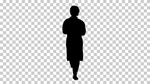 Silhouette Doctor walking , Alpha Channel