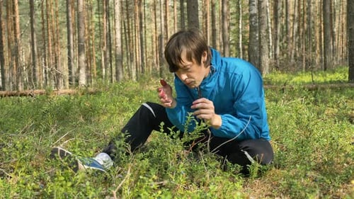 Guy in Jacket Gathers and Eats Blueberries in Green Bushes