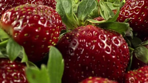 Slider Shot Von Nahaufnahme Haufen von vielen frischen Und Enfes Erdbeeren 2