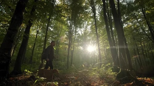 Man with Backpack and with a Dog Walking Through Tall Trees in Forest