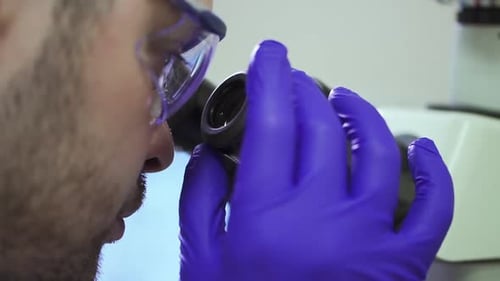 Man Looks Through Microscope Wearing Safety Glasses and Gloves