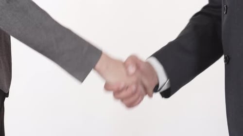 Business Handshake on White Background