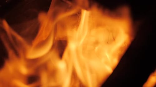 Bonfire at Night Close Up Nature Background