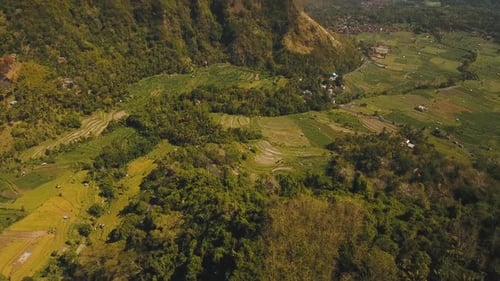 Berglandschaft Farmland und Dorf Bali Indonesien