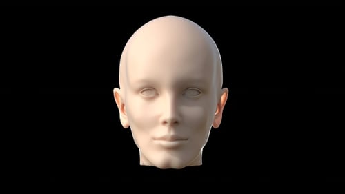 mulher Cabeça 3d