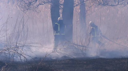 Two Firefighters in Equipment Extinguish Forest Fire with Fire Hose. Slow Motion