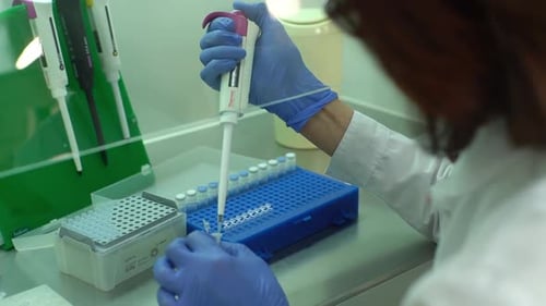 Closeup Back View of Unrecognizable Female Lab Technician Dripping Liquid Into Test Tubes Using