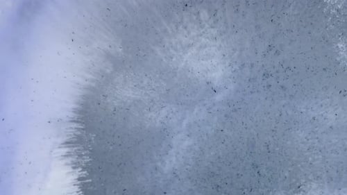 Ein Tropfen Farbe