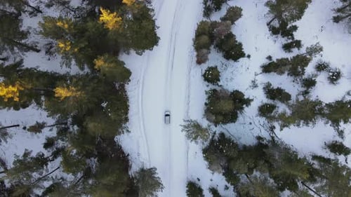 Safe Route Winter