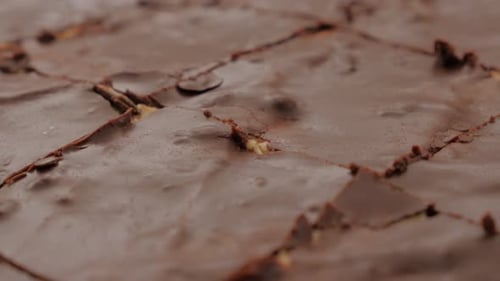 Delicious Chocolate Brownie Dessert Glazed Close Up