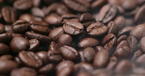 Roasted coffee bean
