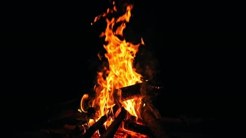 Camp Fire (4K)