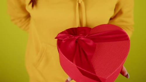 Heart Gift Boxes for Valentine's Day Present