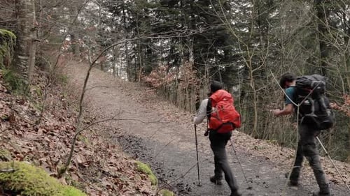 Two young millennial backpackers with hiking poles trekking on nature path