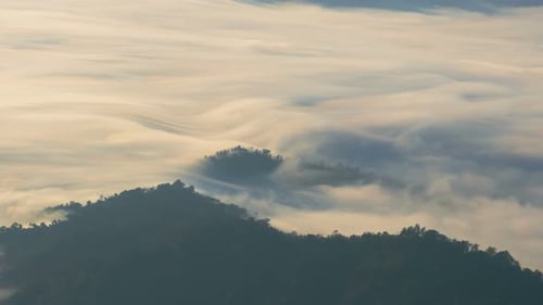 Bewegender Nebel am Berg