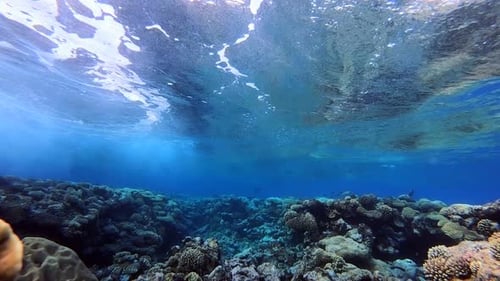 Superficie de olas de agua azul