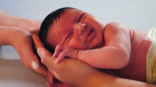 Infant Cradled Lovingly in Parent's Hands