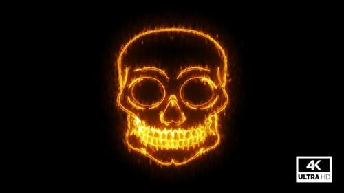 Feuer brennender Totenkopf V14
