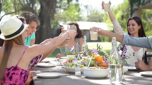 Des amis qui tintent des verres lors d'une réunion en plein air