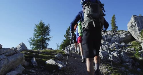 Four Friends Walking Along Hiking Trail Path