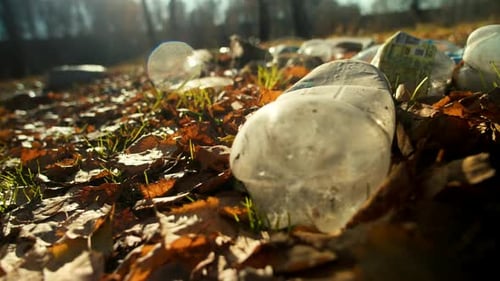 Plastic Bottles Polluting Park