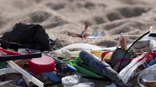 Plastic Discarded on Beach