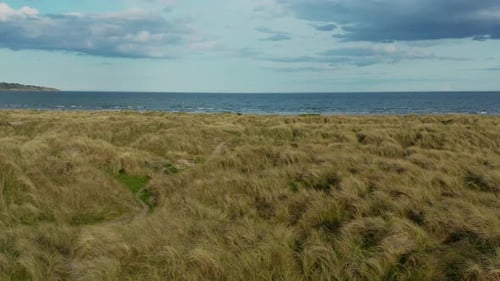 Aerial low view over marram grass anchored dunes.