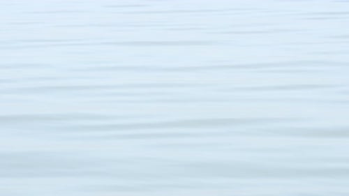 Water Waves On A Sunny Day