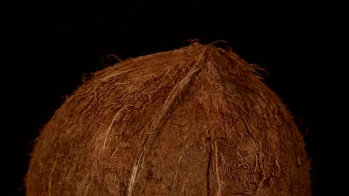 Close Up of Coconut on Black Background