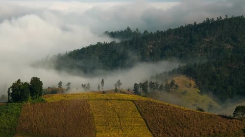 Farm On Mountain