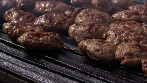 Meatball Auf Einem Barbecue 3