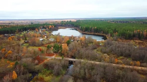 Autumn In The Forest 34